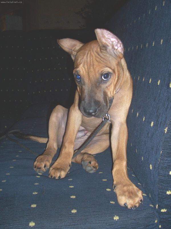 Foto: Jonny-And�l s ��blem v t�le:o)