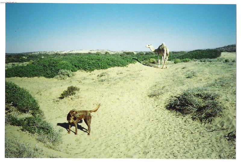 Foto: Wendy v Maroku