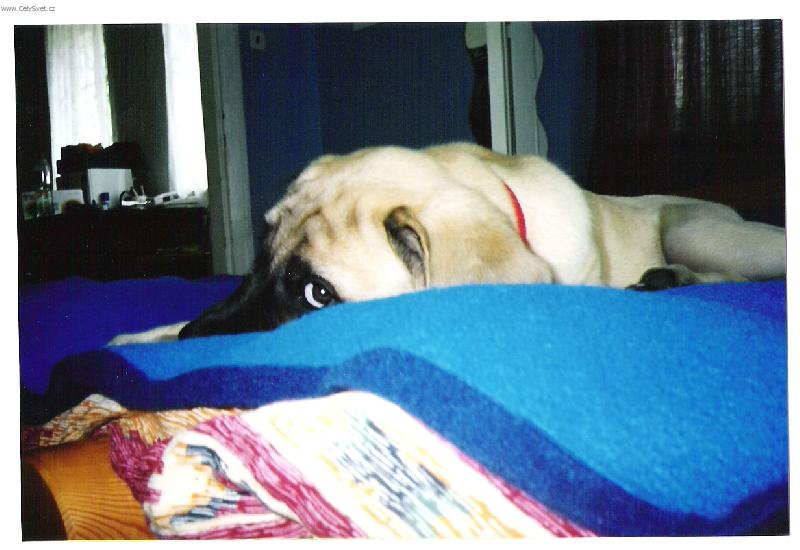 Foto: ..j� se styd�m!-Terezka v 11t�dnech