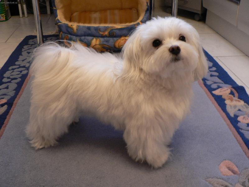 Foto: MEGGY 1-tak jdeme ven ?