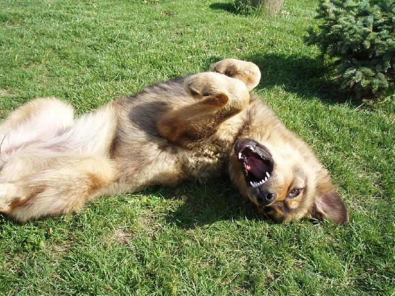 Foto: D�akul�nek