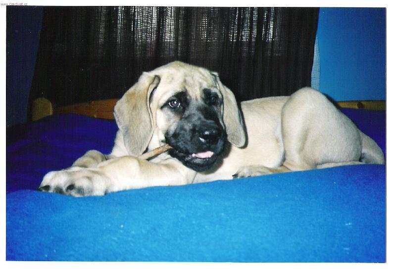 Foto: Terezka-11t�dn�