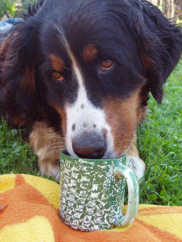 Foto: M�j Ber���ek