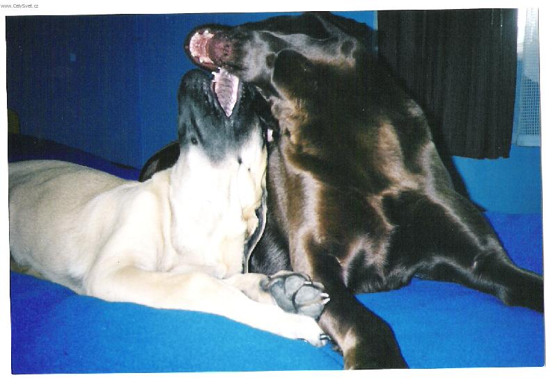 Foto: Wendy a Terezka