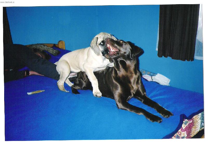 Foto: mal�,ale kousat um�!-Terezka a Wendy