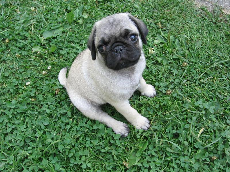 Foto: Koukaj�c� John