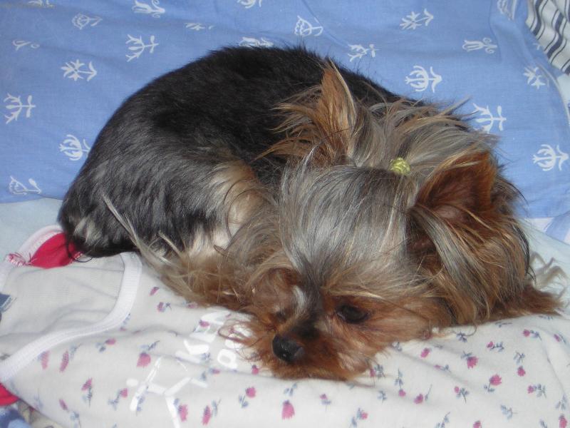 Foto: T�nka-"Nebude� balit na t�bor! Ne a ne!!!"