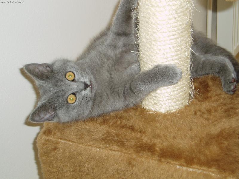 Foto: Klidn� si m� vyblejskni :)