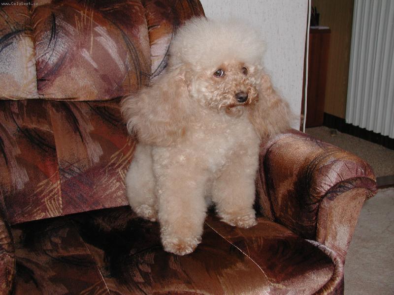 Foto: Zakou�ek-"To jsem kr�sn� u�esan� vi�?"