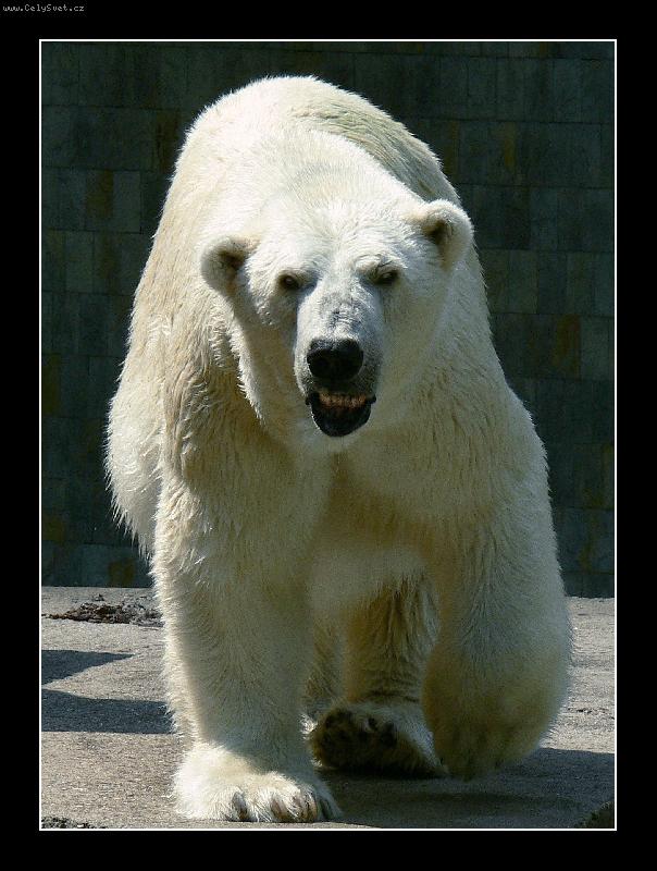 Foto: UTOK?-ZOO-OSTRAVA