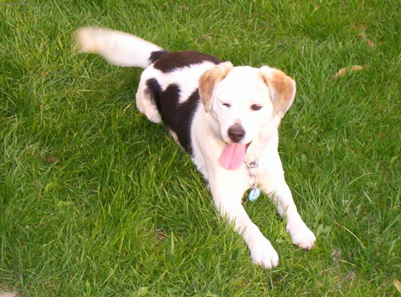 Foto: Na�e Terinka ,kter� je moc hodn�-Takov� normal fote�ka