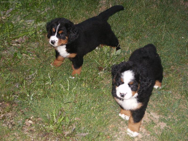 Foto: Br�kov�...ale ne moc podobn�