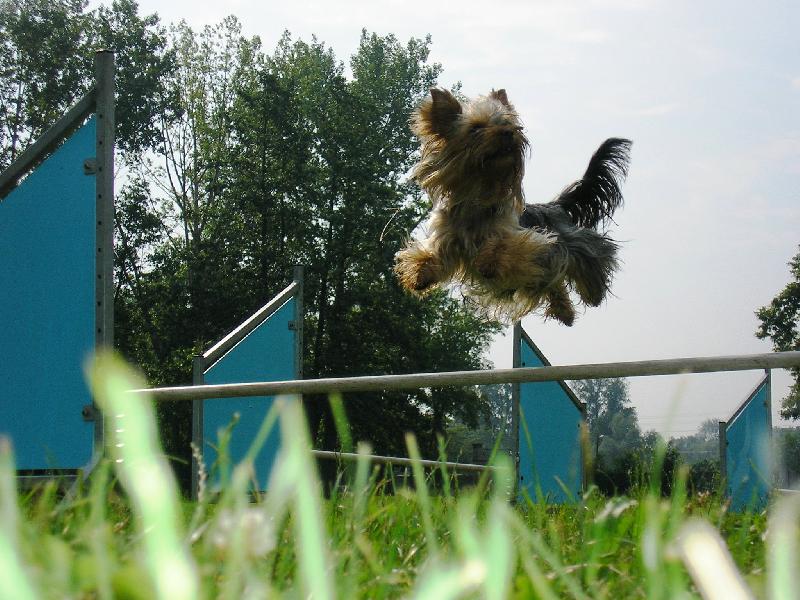 Foto: L�taj�c� Hany-J� si tak p�es ty p�ek�ky l�t�m