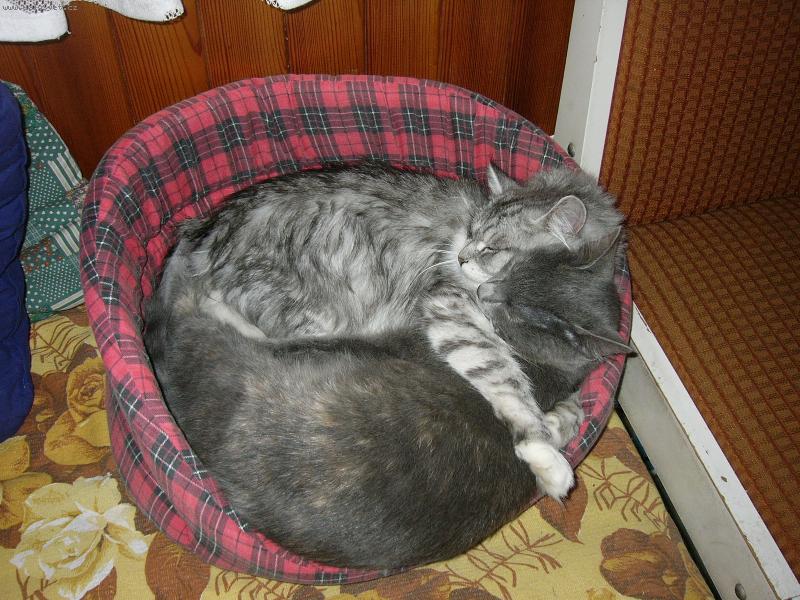 Foto: "L�ska je l�ska"-Nejd��v jsem t� nen�vid�la, ale te� t� nikomu ned�m!