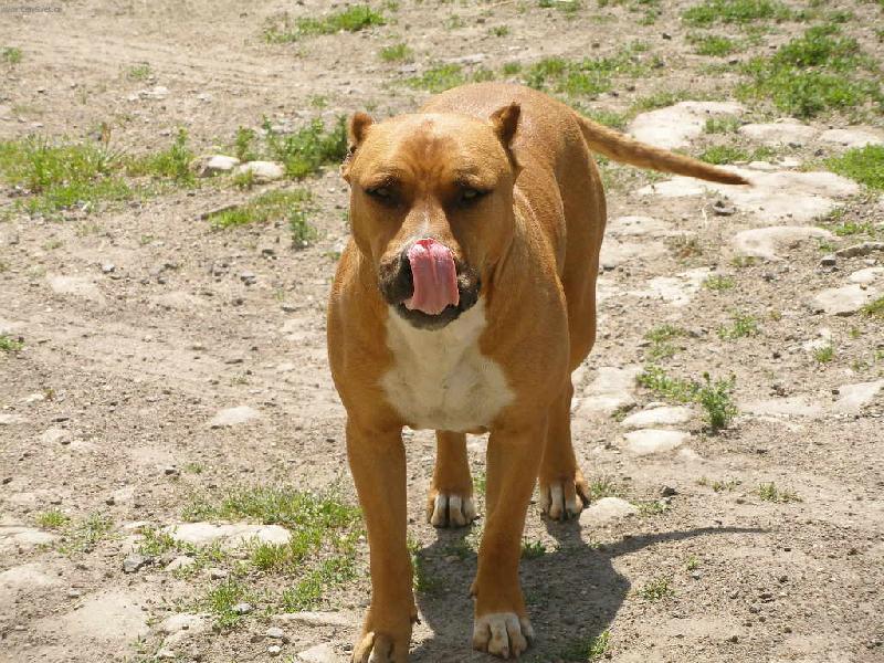 Foto: Dlouh� jaz��ek