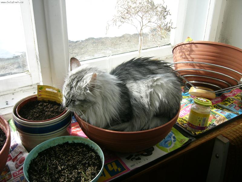 Foto: Mo�n� taky vykvetu.-Co k tomu dodat?