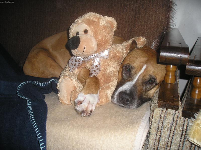 Foto: Nejlep�� k�mo�i