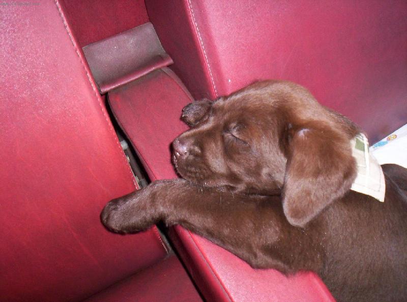 Foto: �esk� dr�hy, to je ono!!!!!-No, Student Agency to sice nen�, ale j� si ten odpo�inek zaslou��m.