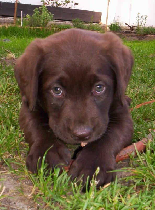 Foto: Dok�u se tv��it i jako nevi��tko.:-)-Dok�u se tv��it i jako nevi��tko.:-)