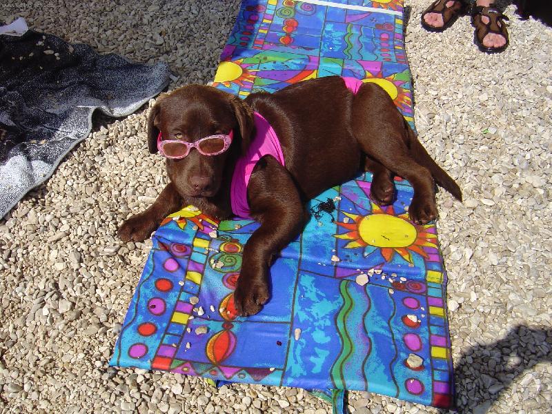 Foto: Dovolen� na pl�i Hershey!!!-Hershey u mo�e!!!!!Ach ta nuda!!!!