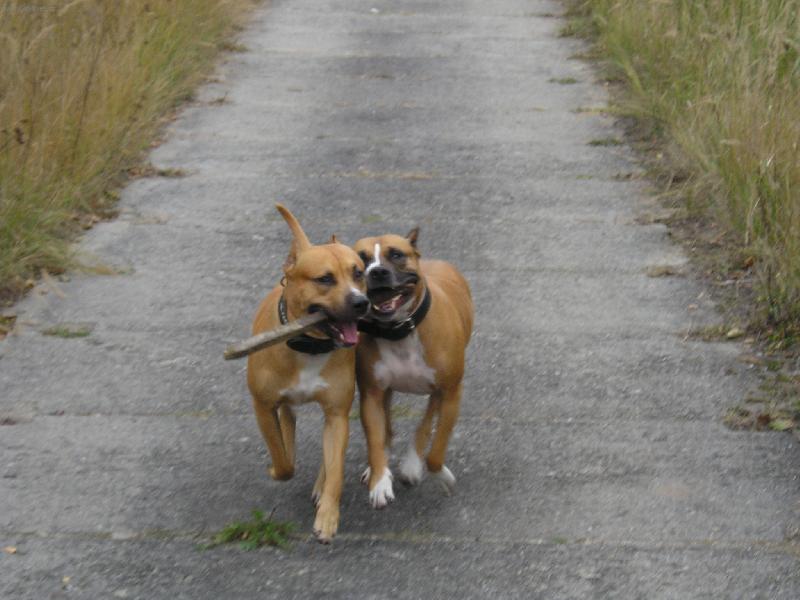 Foto: Ve dvou se to t�hne l�p