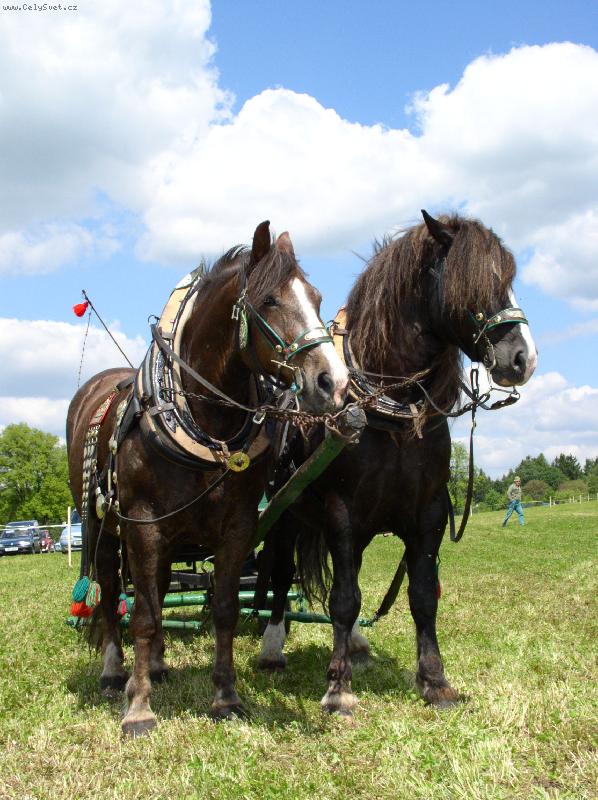 Foto: �elez��ci