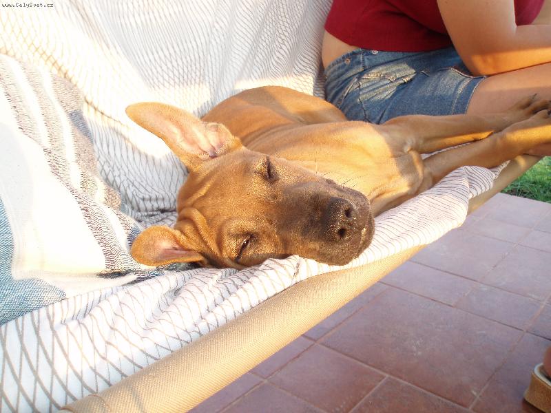 Foto: Na houpa�ce-Odpo�inek na terase