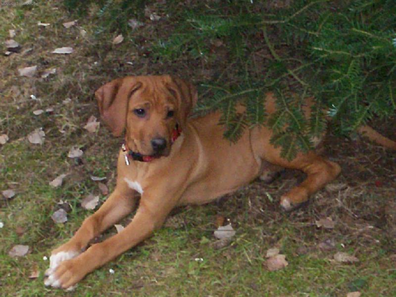 Foto: Letn� relaxace-Odpo�inek