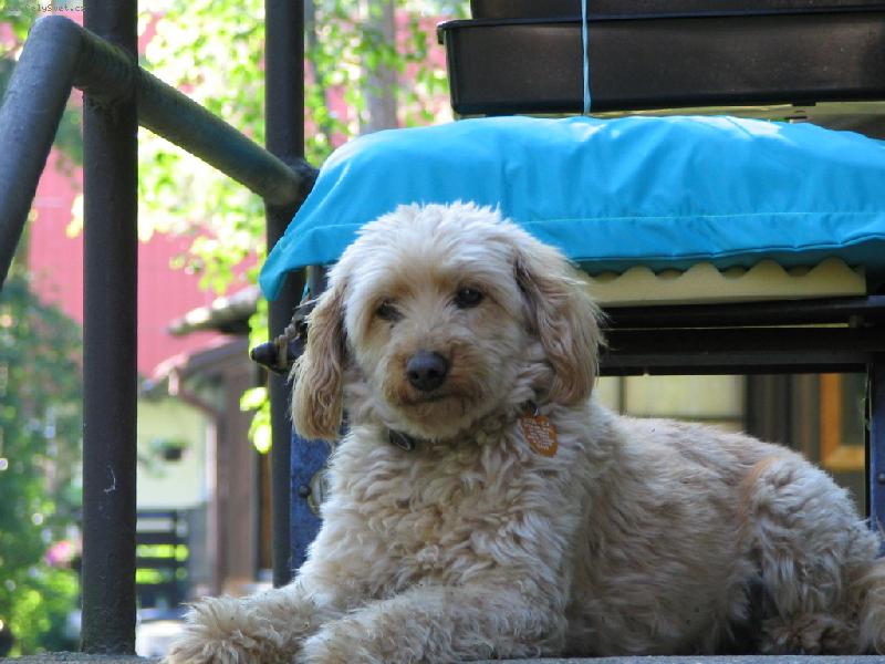 Foto: Na�e m�a-p�kn� ply���ek �e