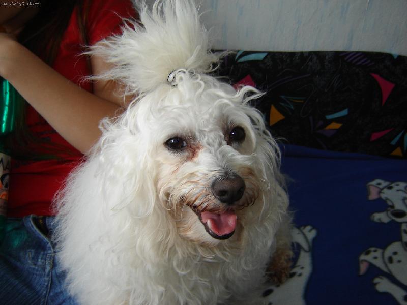 Foto: De�sek-to sem fe��k.......j� sem kluk a m�m cul��ek...