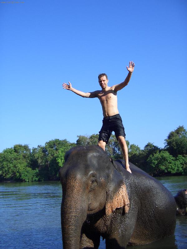 Foto: na slonici p�i koup�n� slon� v �ece (Thajsko -Kanchanaburi )