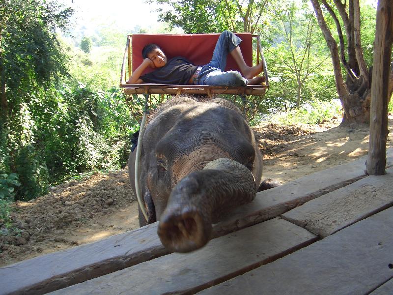 Foto: pohodi�ka ve slon� vesnici v Thajsku