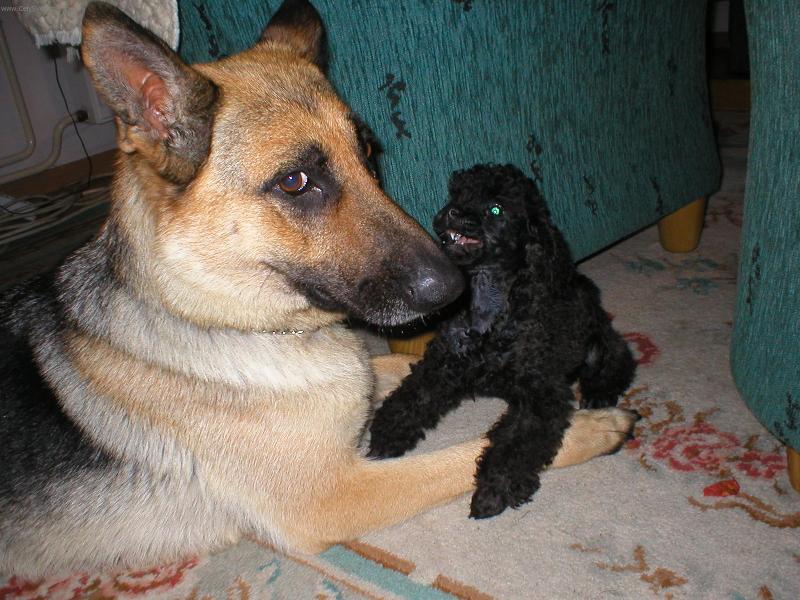 Foto: tak se m�me r�di-jsem malej, ale �ikovnej