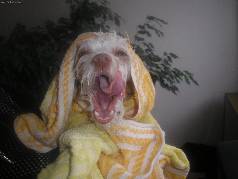 Foto: U� zase bych spala