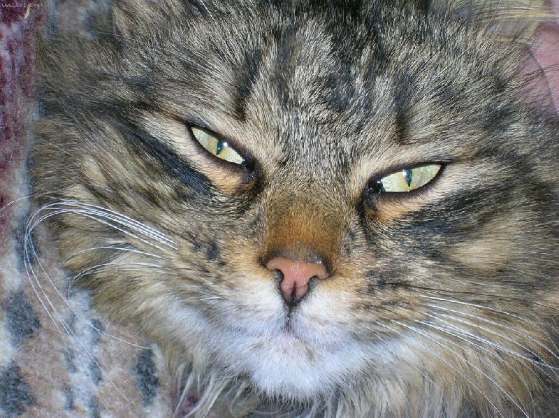 Foto: Pod�vej se mi do o��