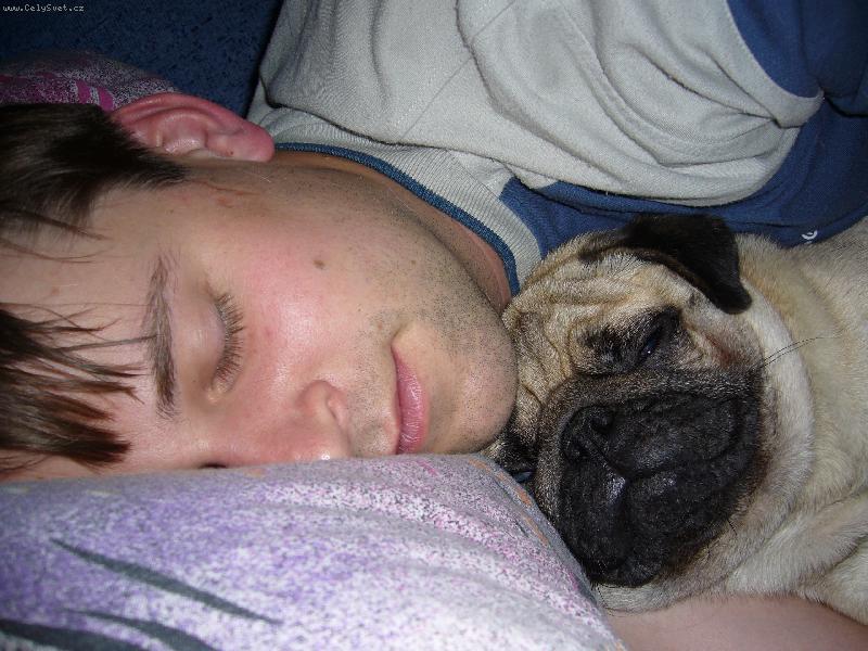 Foto: sweet dreams...-Hugou�ek a Radou�ek