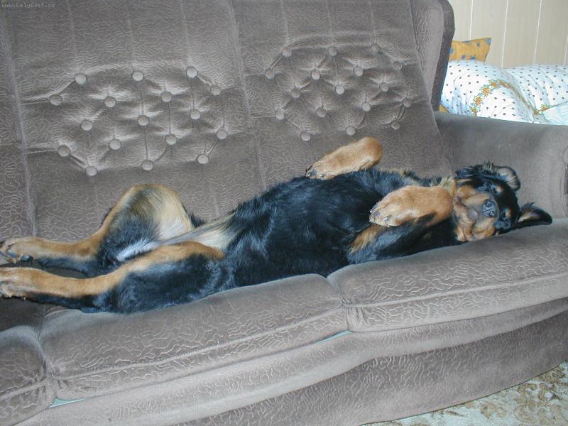 Foto: Sany-To je ale par�da, tak jsem si to p�edstavovala....