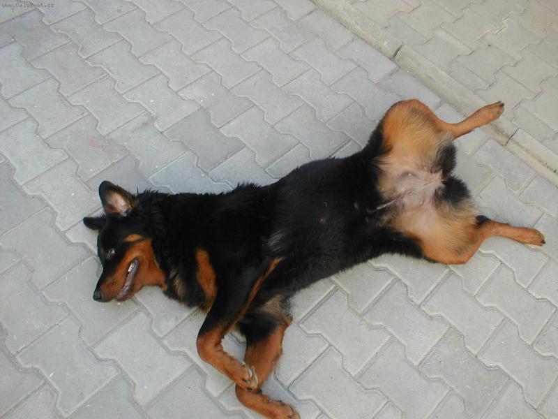 Foto: Sany-tak te� si trochu odpo�inu a pak zase do pr�ce...