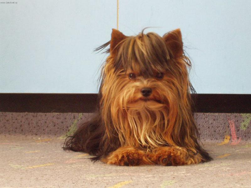 Foto: Berticek-portr�t