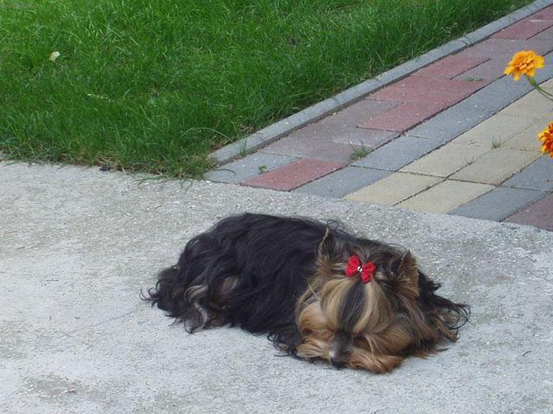 Foto: Berticek-odpo��v�m