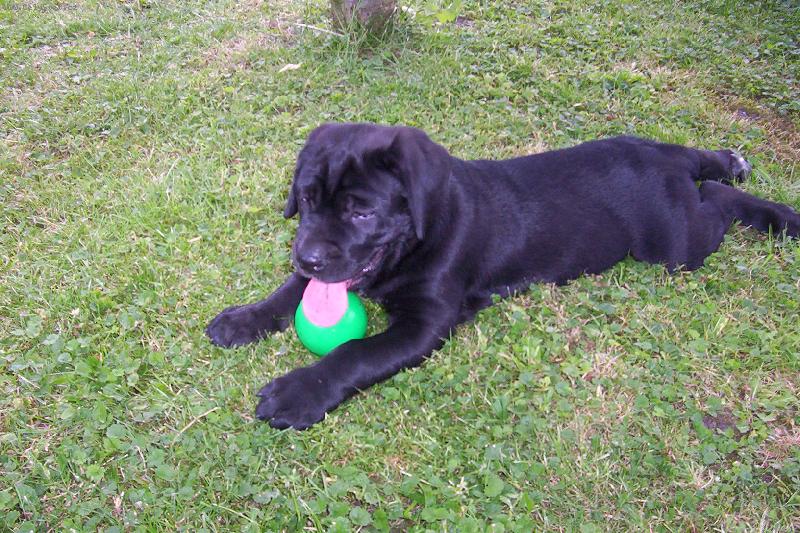 Foto: Keysi-To je travi�ka