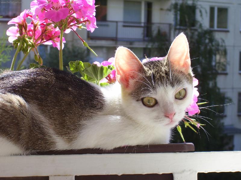 Foto: vodu-zalijete mn� tak�, m�m ��ze�