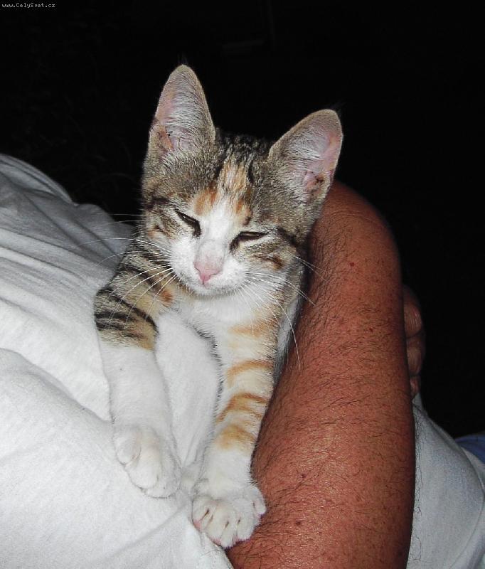 Foto: J� se nechci fotit!