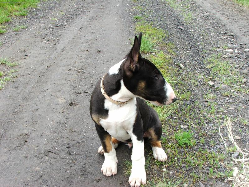 Foto: N� bul��ek