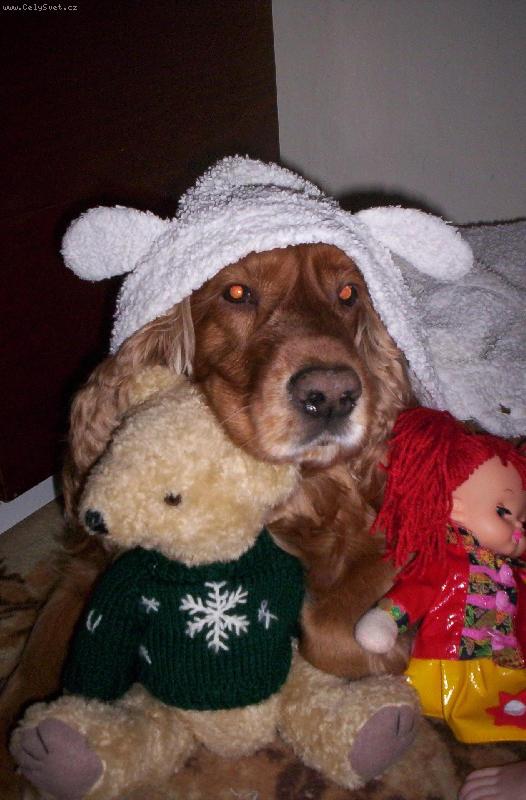 Foto: maskovat se-Lekce 2.:Maskovat se je d�le�it�....