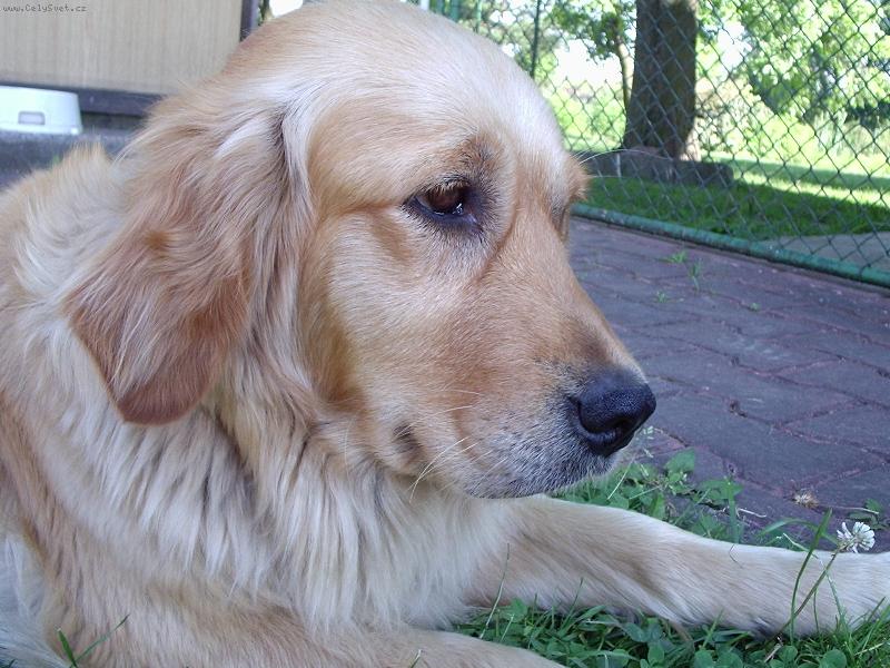 Foto: Fotomodelka-no tak u� toho focen� nech:-)