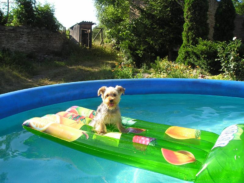 Foto: to vedro se neda vydr�et........