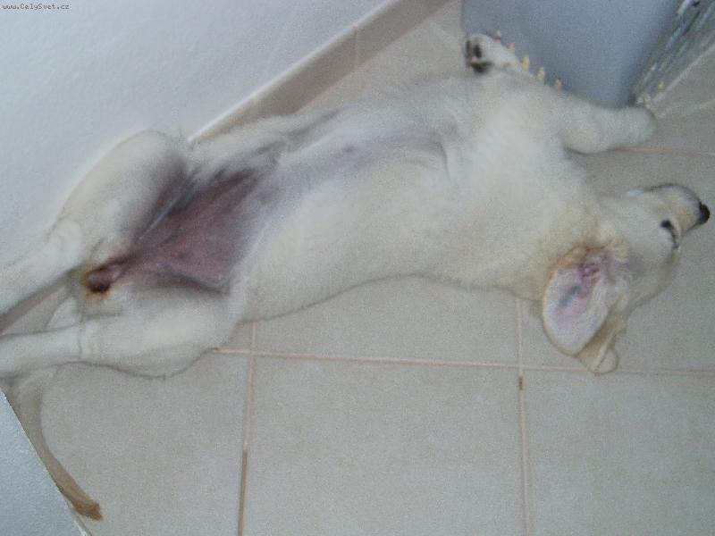 Foto: malink�-nevypad� to, ale sp� se mi pohodln�.. :)