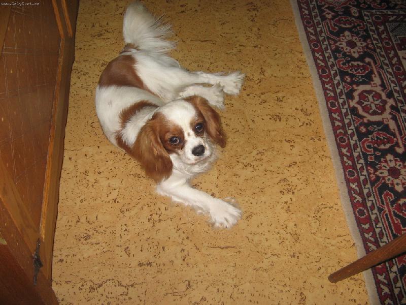 Foto: Tady jsem doma a tady je mi nejl�pe