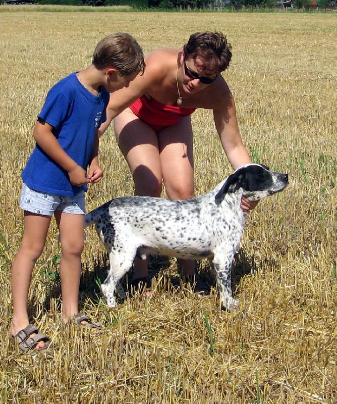 Foto: po �n�ch-po �n�ch se psem na poli